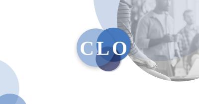 Image from the website