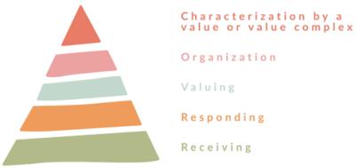Image from the website