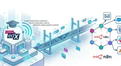 Image from the website