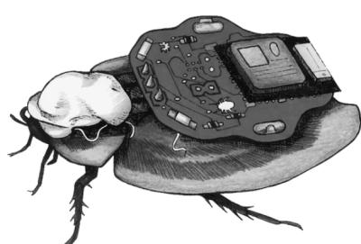 Image from the website