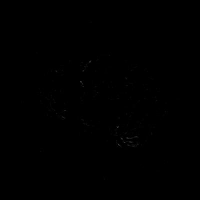 Image from the website
