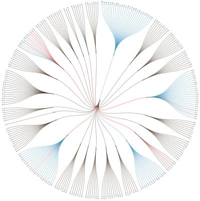 Image from the website
