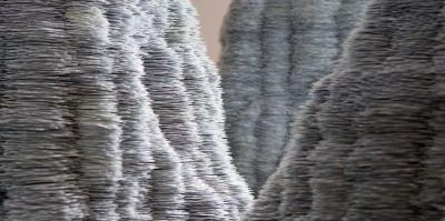 Image from the website