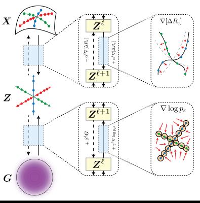 Image from the website