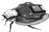 79728 image icon