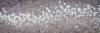 79786 image icon