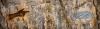 79867 image icon
